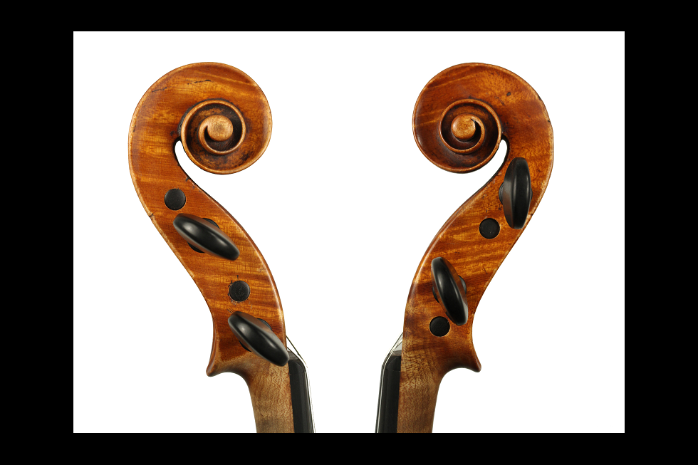 In focus a 1895 violin by Eugenio Degani Focus The Strad